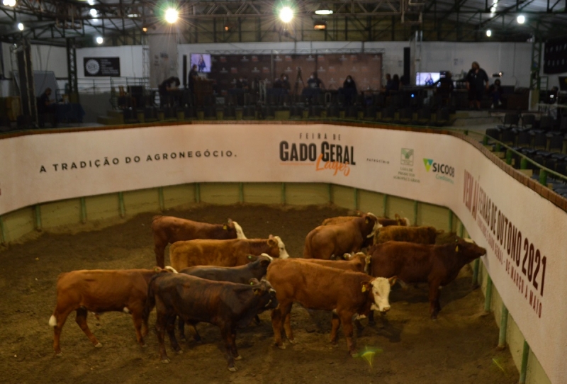 34ª FEIRA DO GADO GERAL PAINEL SC 