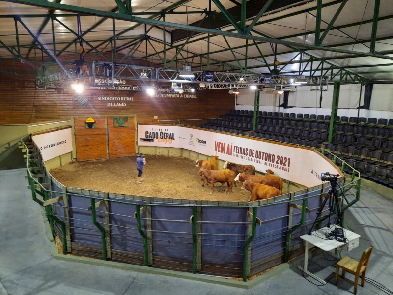 Feira de Gado Geral – Associação e Sindicato Rural de Lages 